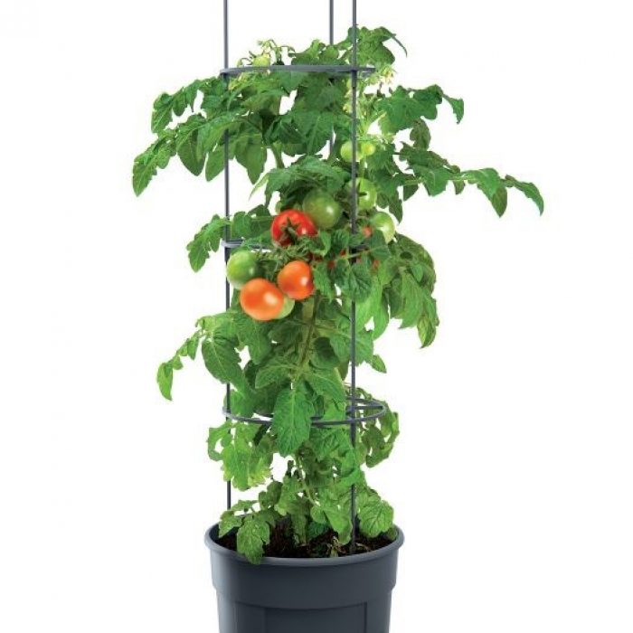 Kvetináč na pestovanie paradajok 12 L TOMATO GROWER antracit IPOM300-S433 | Náradie¹